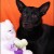 Изящная атласно-черная собачка Шаня ищет дом