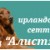 Ирландского сеттера щенки