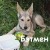 Бэтмен ищет свою семью!